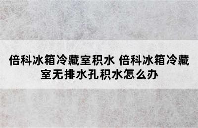 倍科冰箱冷藏室积水 倍科冰箱冷藏室无排水孔积水怎么办